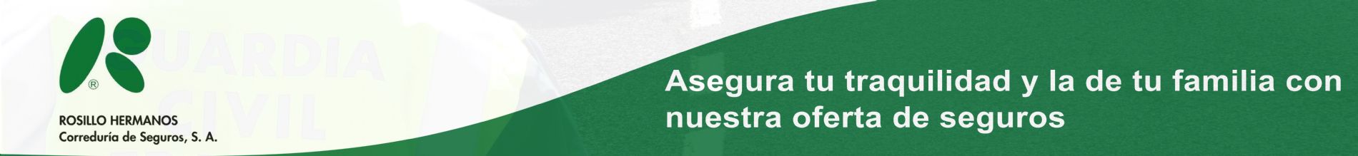 Banner de la web