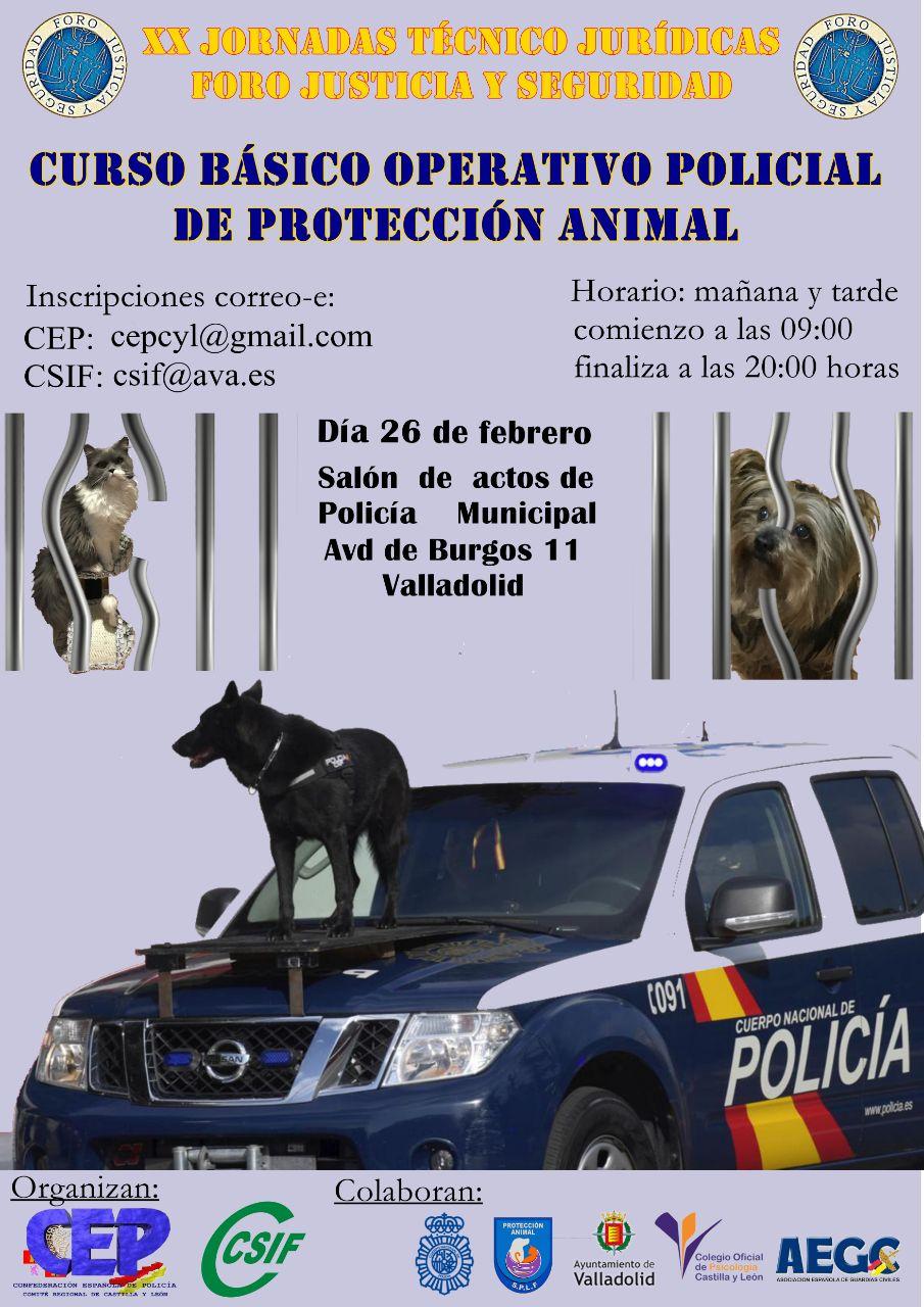 Cartel Curso