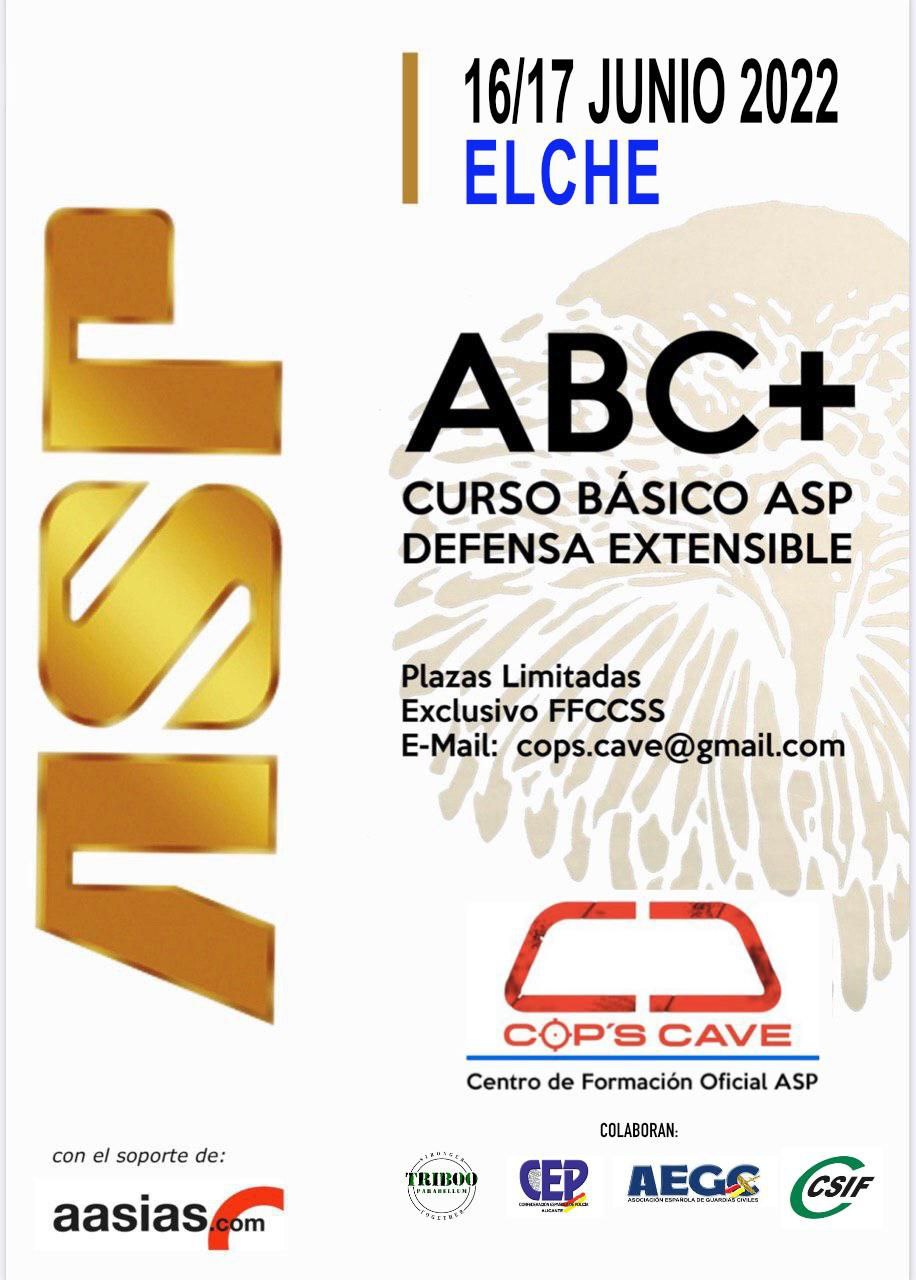 Cartel Curso