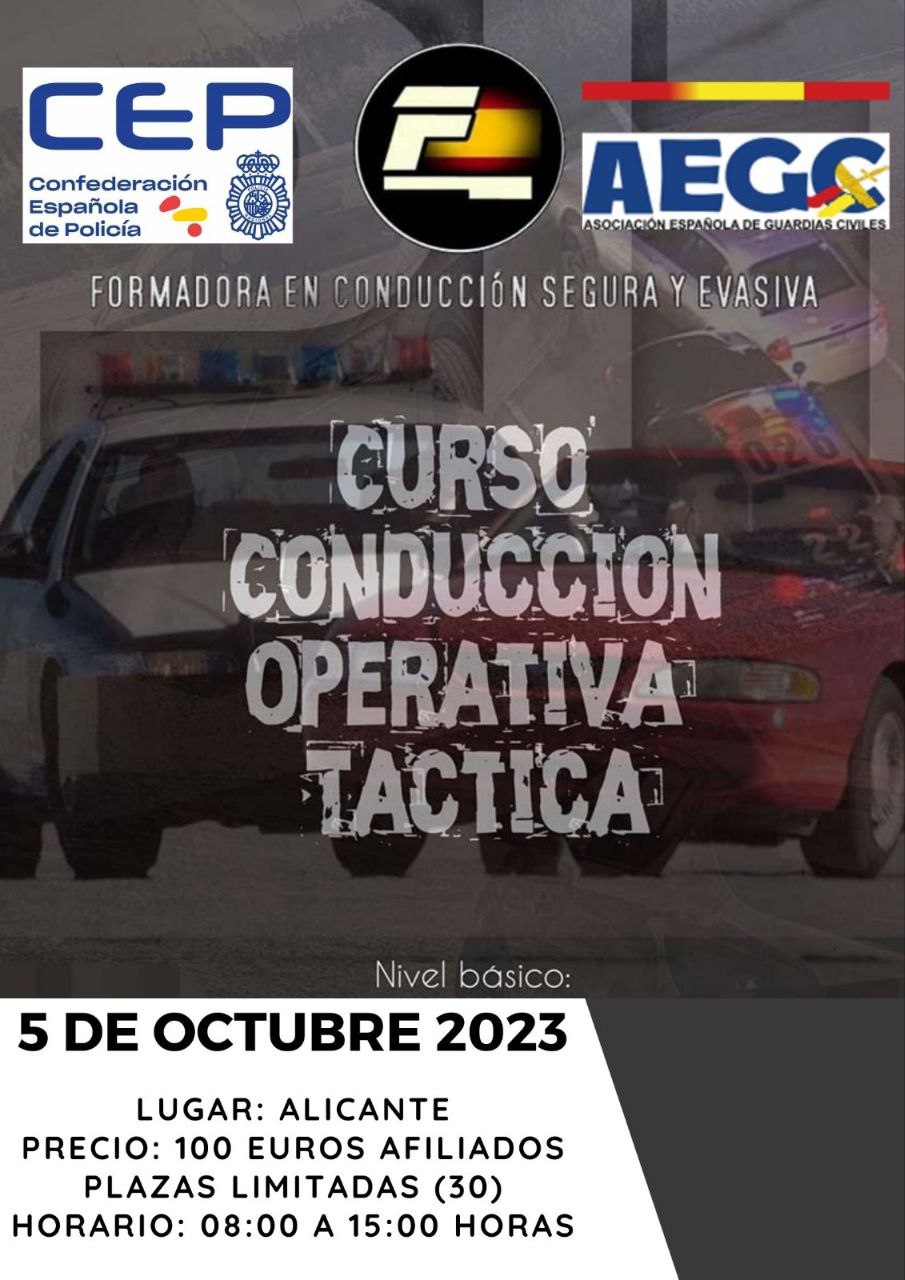 Cartel Curso