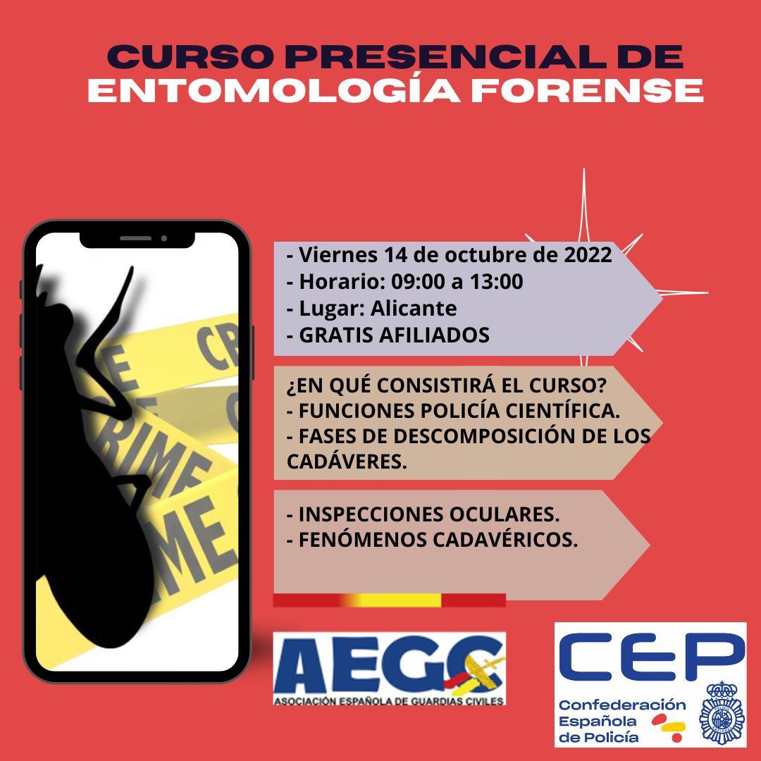 Cartel Curso