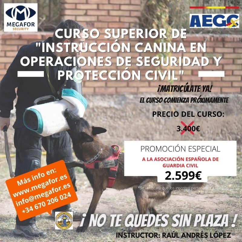 Cartel Curso